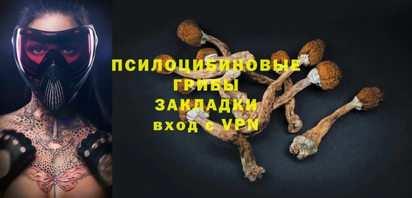 эйфоретик Арсеньев
