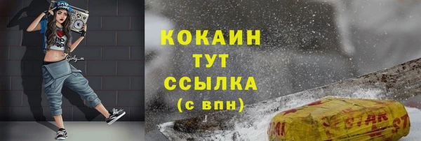 эйфоретик Арсеньев